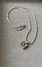 Природата в мида